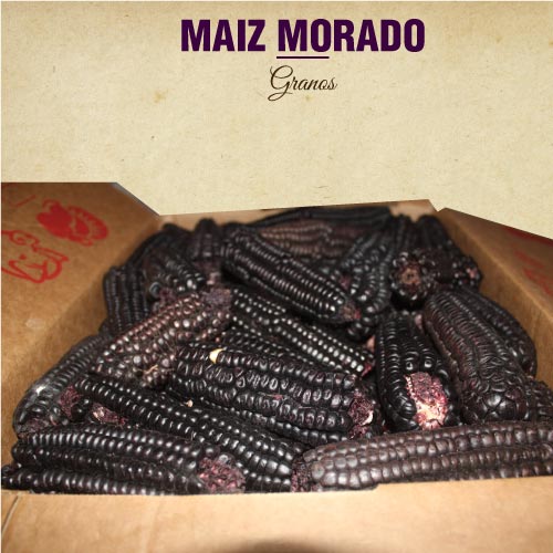 MAIZ MORADO